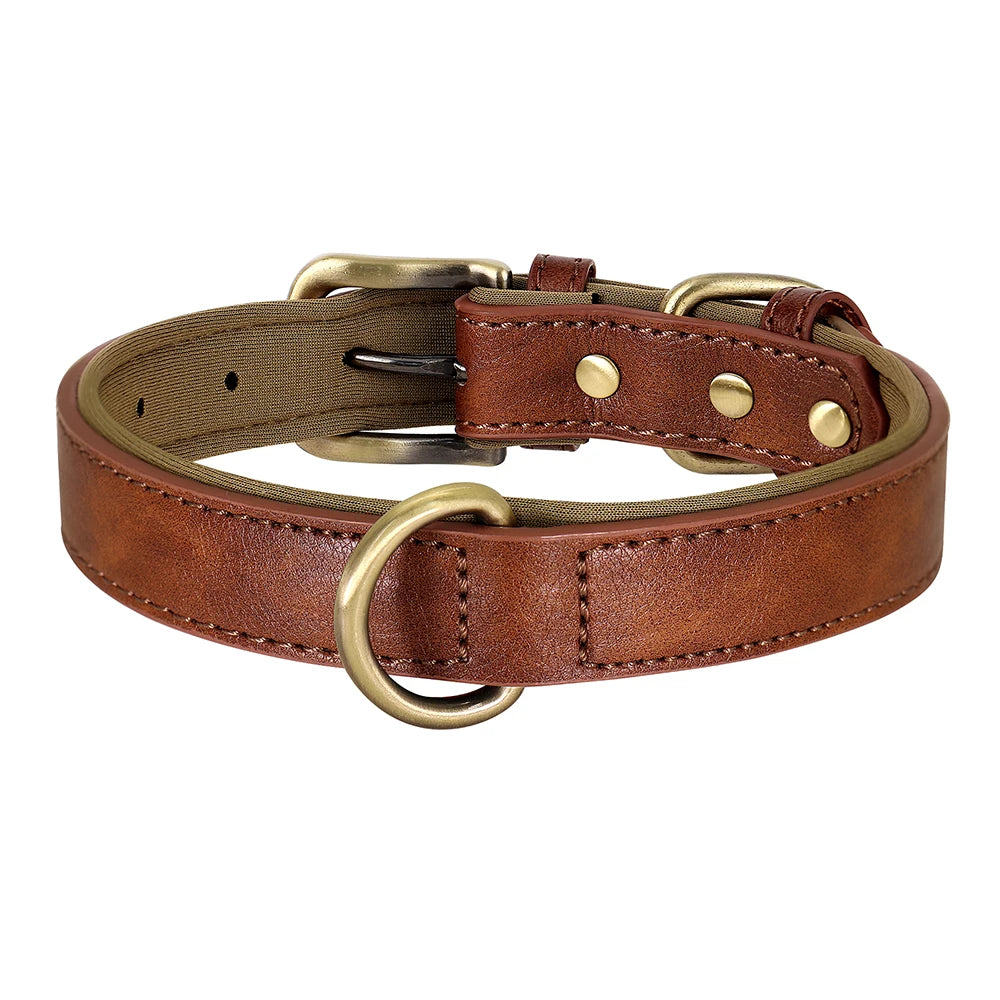 How to soften leather dog collar