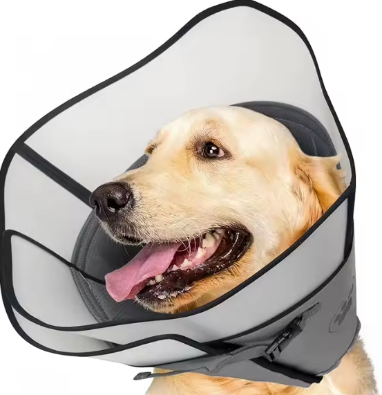 What are dog cones for?