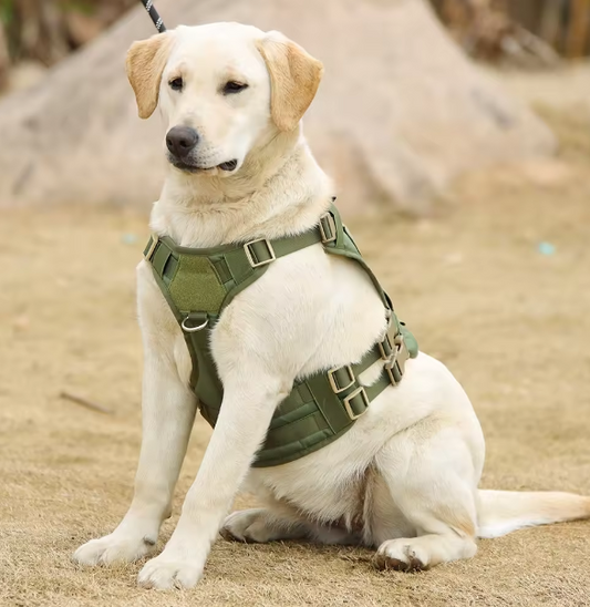 What is a no pull dog harness?