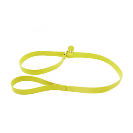 Yellow dog collar and leash