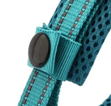 Secure padded dog collar