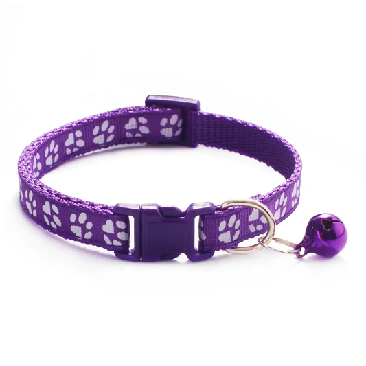 Thin dog collar for small dog