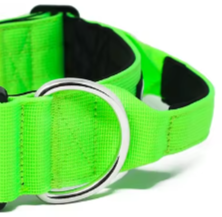 Quick release safety dog collar