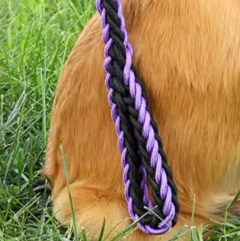 Paracord dog collar and lead