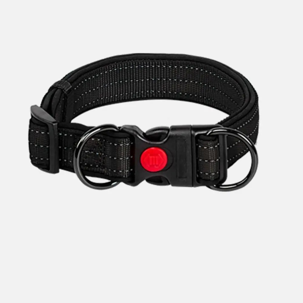 Night light dog collar