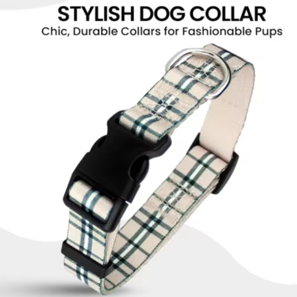 Irish tartan dog collar