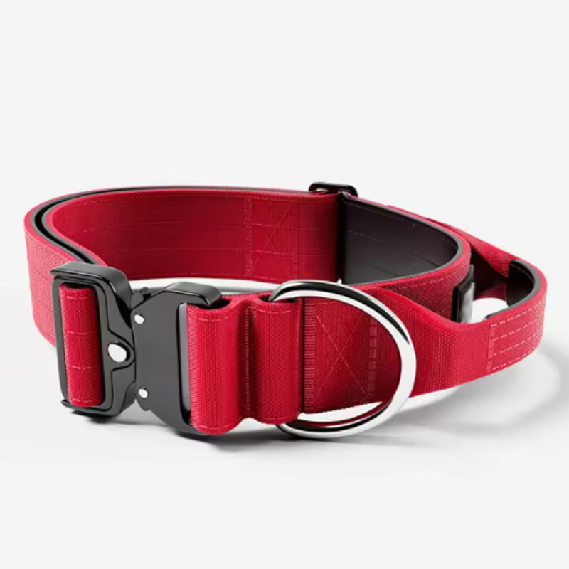 Red collar small