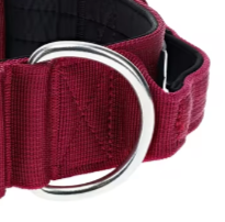 Dog collar with metal quick release