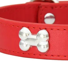 Dog collar for small puppy