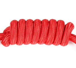 Red rope dog collar