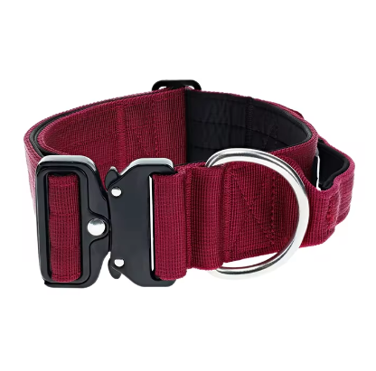 Dog collar with metal quick release