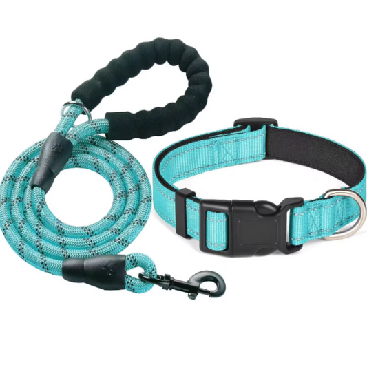 Nylon braided dog collar and leash set