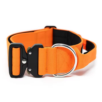 Metal quick release dog collar