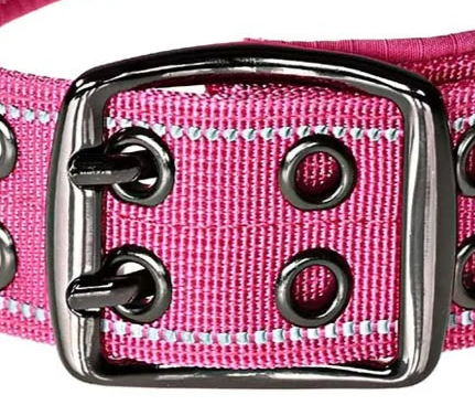 Large pink dog collar