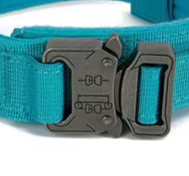 Turquoise dog collar