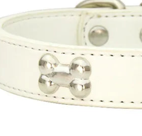 Xs leather dog collar