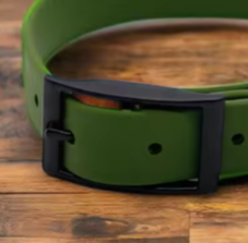 Green biothane dog collar