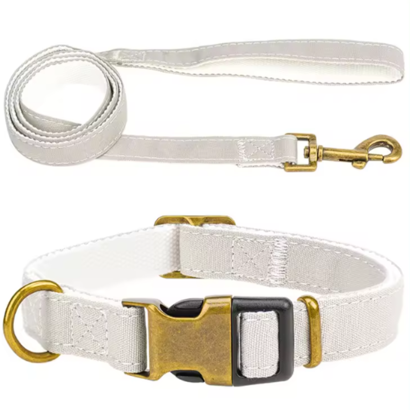 White dog collar and lead