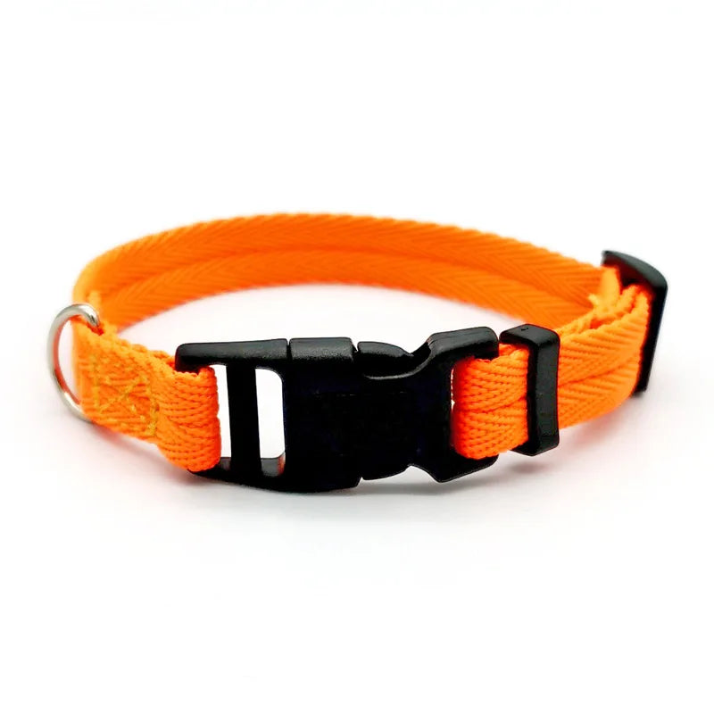 Small Orange dog collar