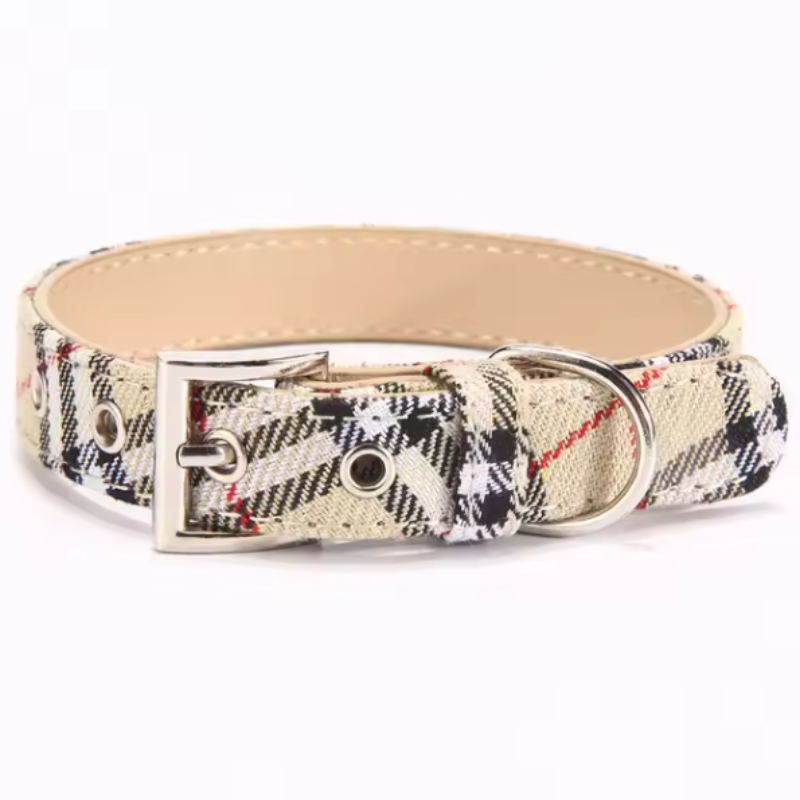 Tartan hound collar