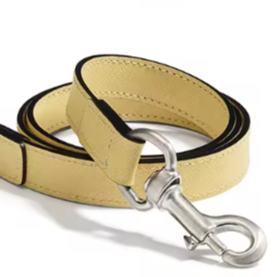 Yellow dog collar and lead