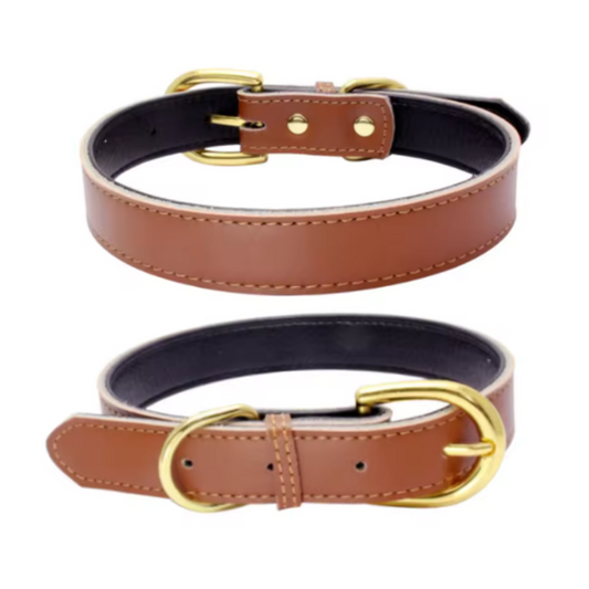 Brown puppy collar