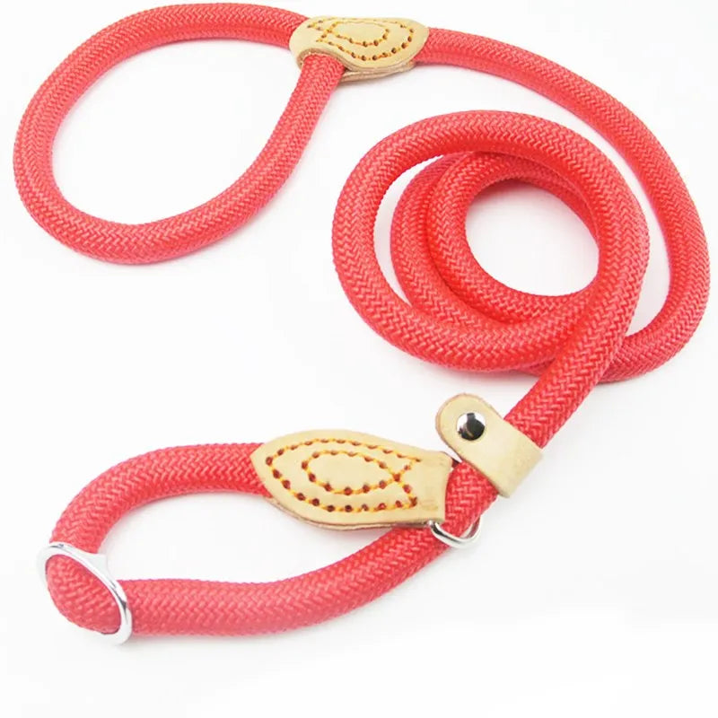 Pink rope dog leash