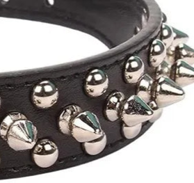 Black spiked leather dog collar