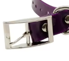 Purple biothane dog collar