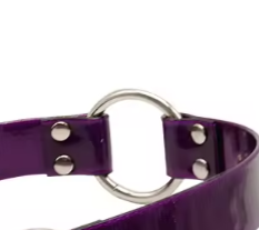 Purple biothane dog collar