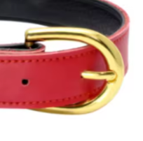 Red puppy collar