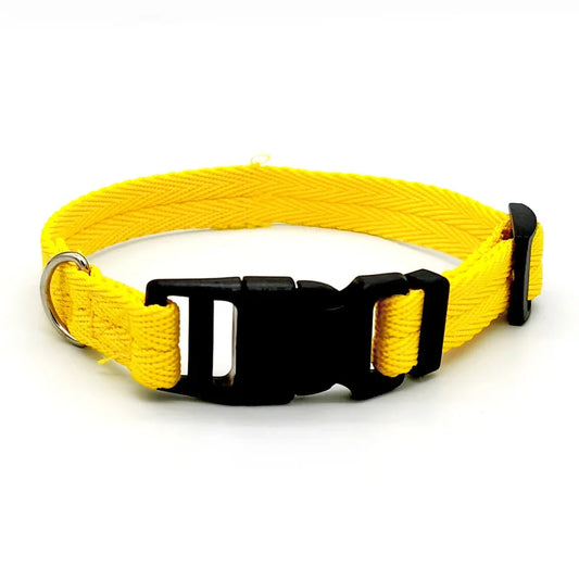 X small puppy collar