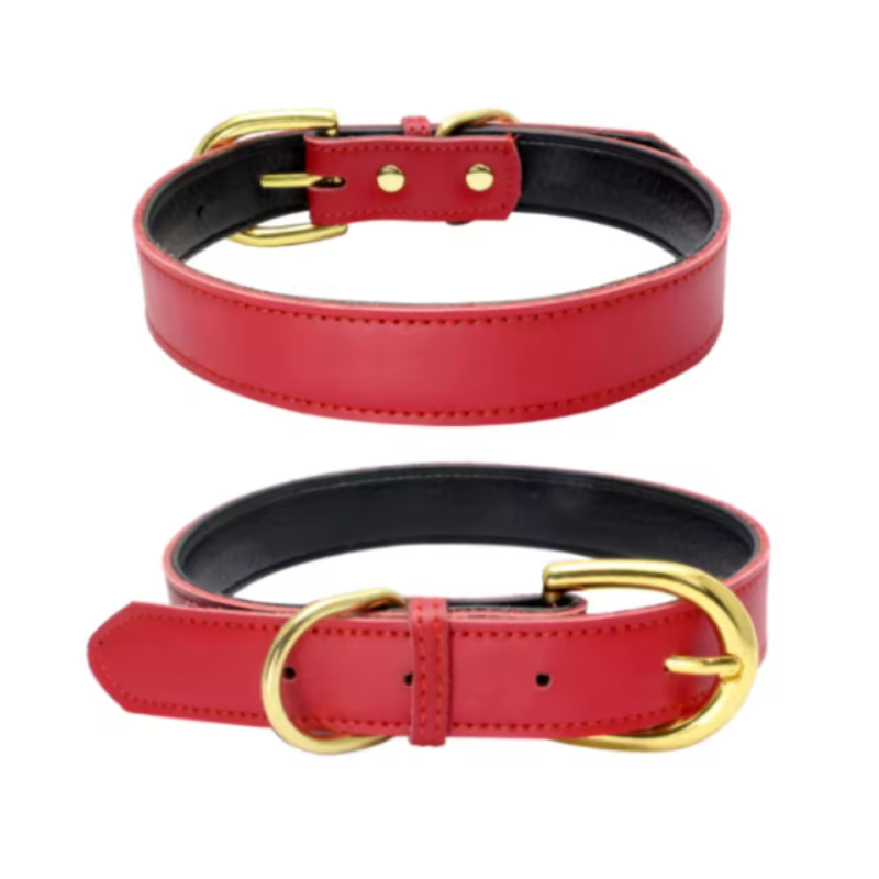 Red puppy collar