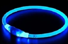 Safety glow dog collar