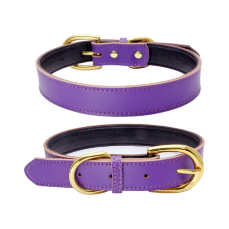 Purple puppy collar