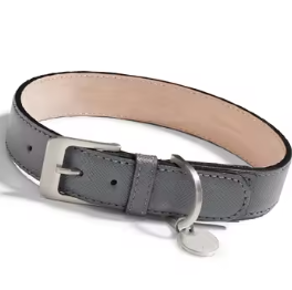 Leather dog collar and lead