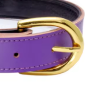 Purple puppy collar