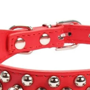 High quality leather dog collar