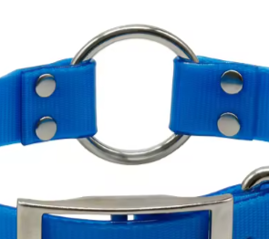 Biothane buckle collar