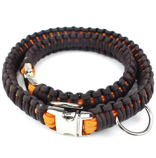 Fishtail paracord dog collar