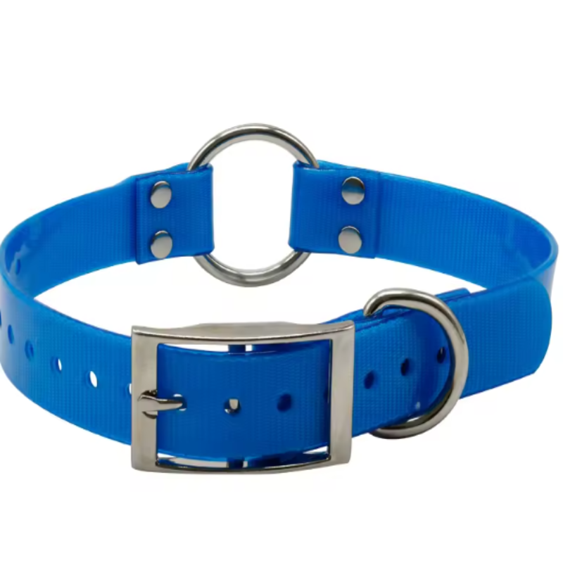 Biothane buckle collar