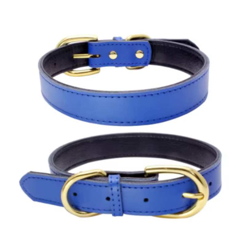 Blue puppy collar