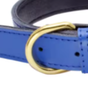 Blue puppy collar