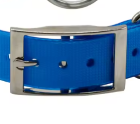 Biothane buckle collar