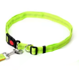 Green dog collar and lead