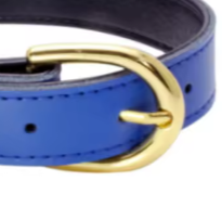 Blue puppy collar