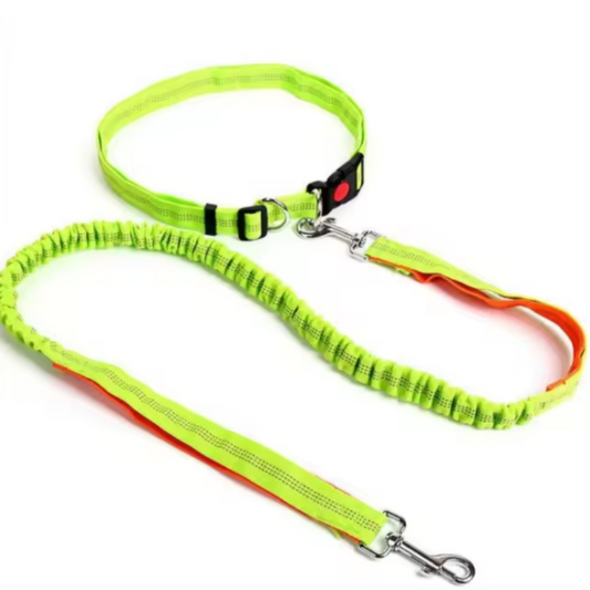 Green dog collar and lead