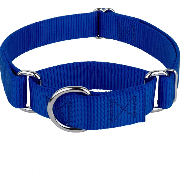 Slip on martingale dog collar