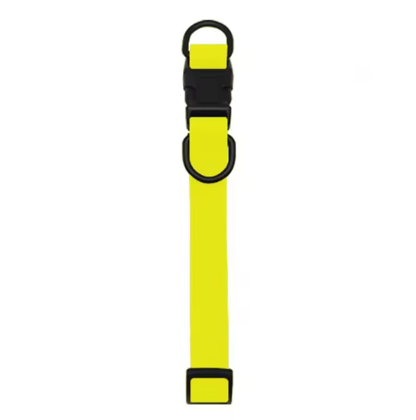 Yellow biothane dog collar