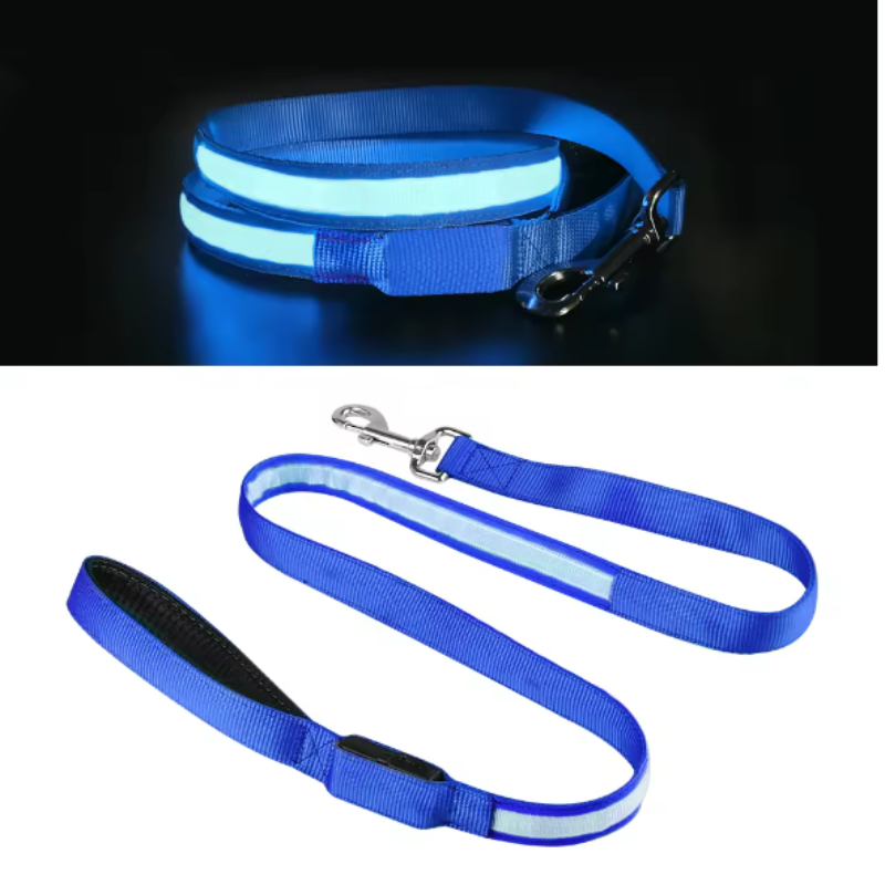 Light blue dog collar and lead